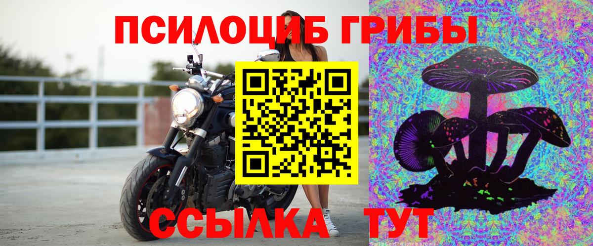 Ялта  Псилоцибиновые грибы мухоморы  Псилоцибиновые грибы Psilocybine cubensis  Вход с VPN 